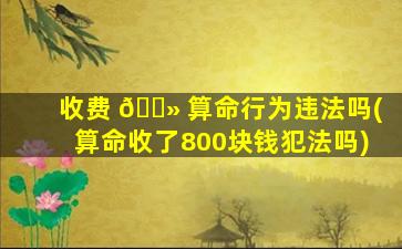 收费 🌻 算命行为违法吗(算命收了800块钱犯法吗)